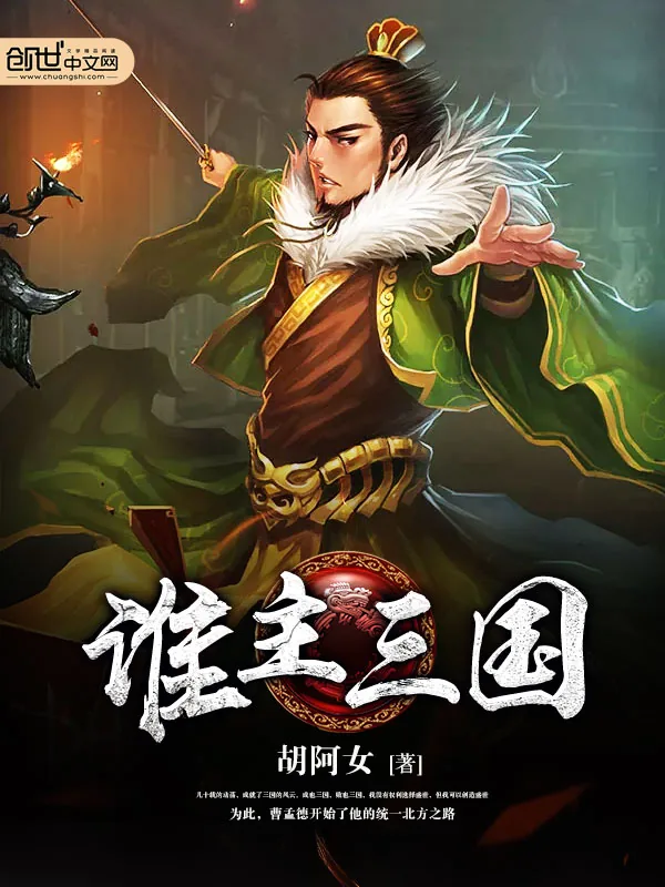 《谁主三国》小说封面