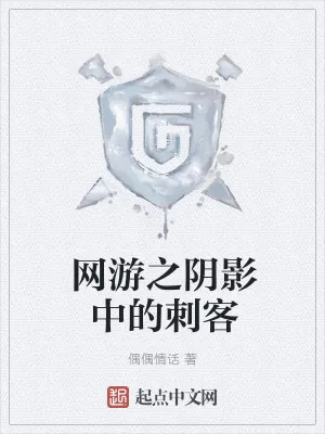 《网游之阴影中的刺客》小说封面