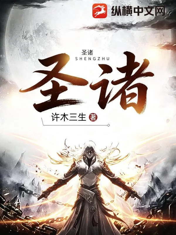《圣诸》小说封面