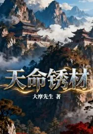 《天命锈材》小说封面