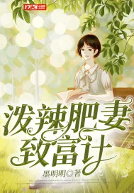 《泼辣肥妻致富记》小说封面