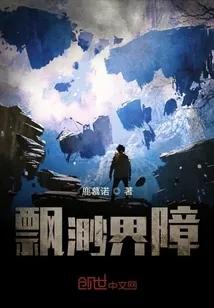 《飘渺界障》小说封面