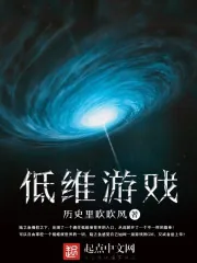 《低维游戏》小说封面