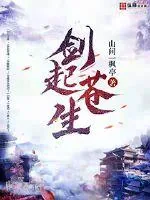 《剑起苍生》小说封面