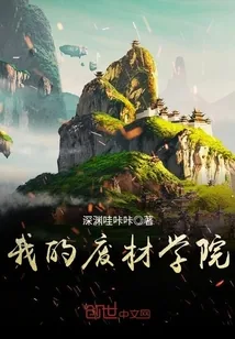 《我的废材学院》小说封面