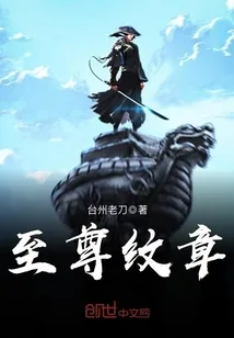 《至尊纹章》小说封面