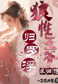 《归罗浮：狼性王爷求归隐》小说封面