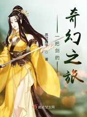 《一把剑的奇幻之旅》小说封面