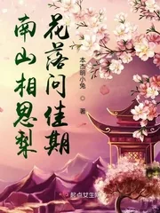 《南山相思梨花落问佳期》小说封面