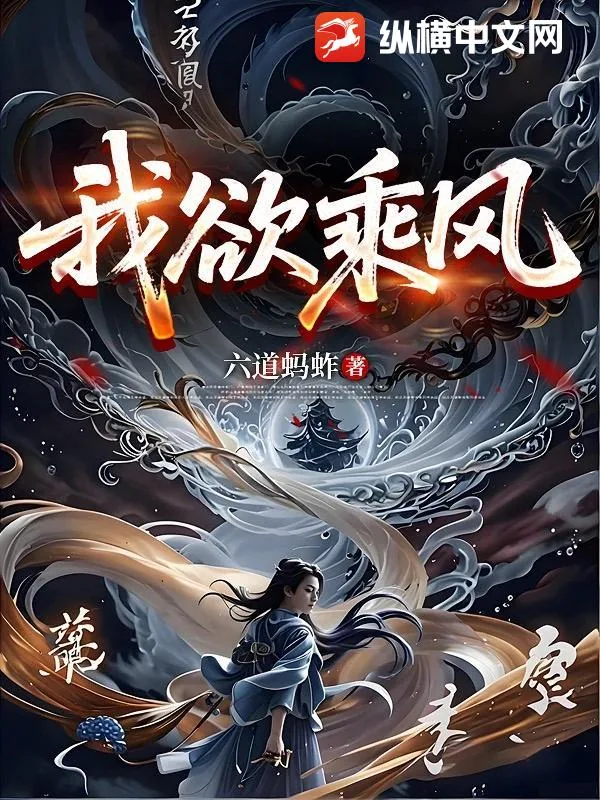 《我欲乘风》小说封面