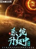 《系统升级中》小说封面