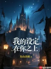《我的设定在你之上!》小说封面