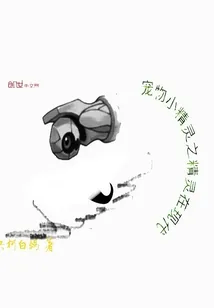 《宠物小精灵之多元时代》小说封面