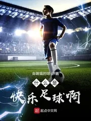 《什么是快乐足球啊》小说封面