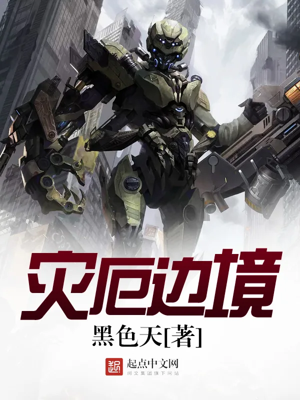 《灾厄边境》小说封面