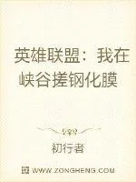 《英雄联盟:我在峡谷搓钢化膜》小说封面