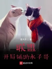 《联盟:开局辅助水子哥》小说封面
