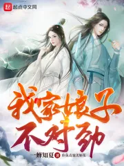 《我家娘子,不对劲》小说封面