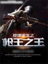 《绝地求生之枪王之王》小说封面