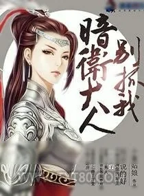 《网游之暗卫大人别抓我》小说封面