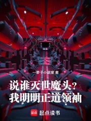 《说谁灭世魔头?我明明正道领袖!》小说封面