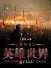 《三国网游之英雄世界》小说封面