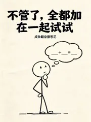 《不管了,全都加在一起试试》小说封面