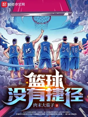 《篮球没有捷径》小说封面