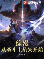 《综漫：从圣斗士星矢开始》小说封面