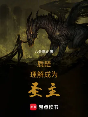 《质疑,理解,成为圣主》小说封面