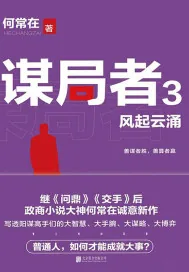 《谋局者3:风起云涌》小说封面