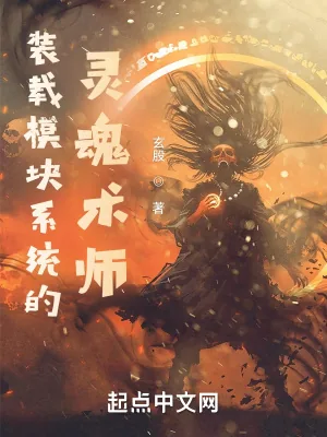 《装载模块系统的灵魂术师》小说封面