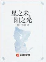 《星之未,阳之光》小说封面