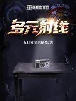 《多元射线:第一阶段》小说封面