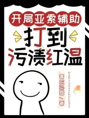 《开局亚索辅助,打到污渍红温》小说封面